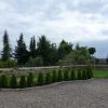 Biergarten02.jpg
